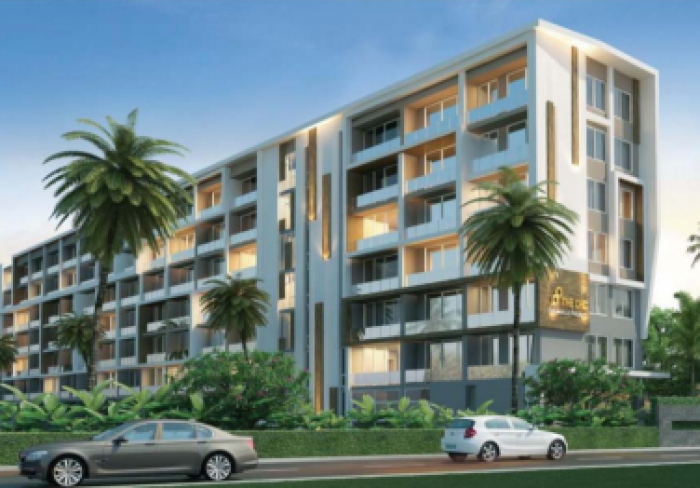 Freehold condominium 